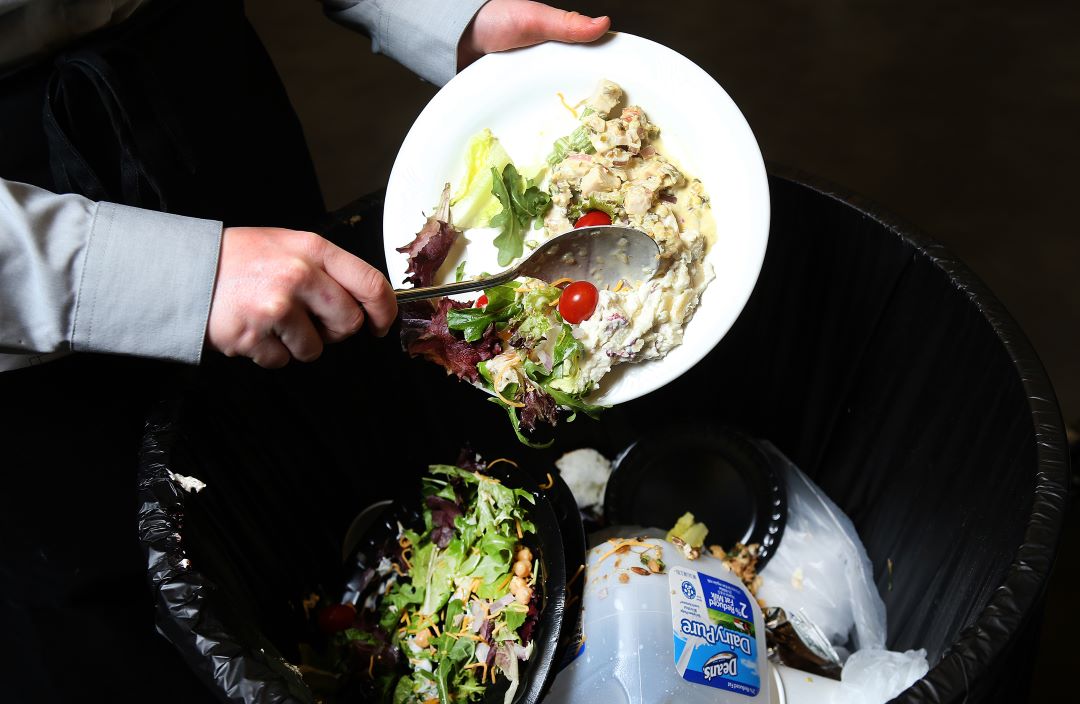 food waste web pic